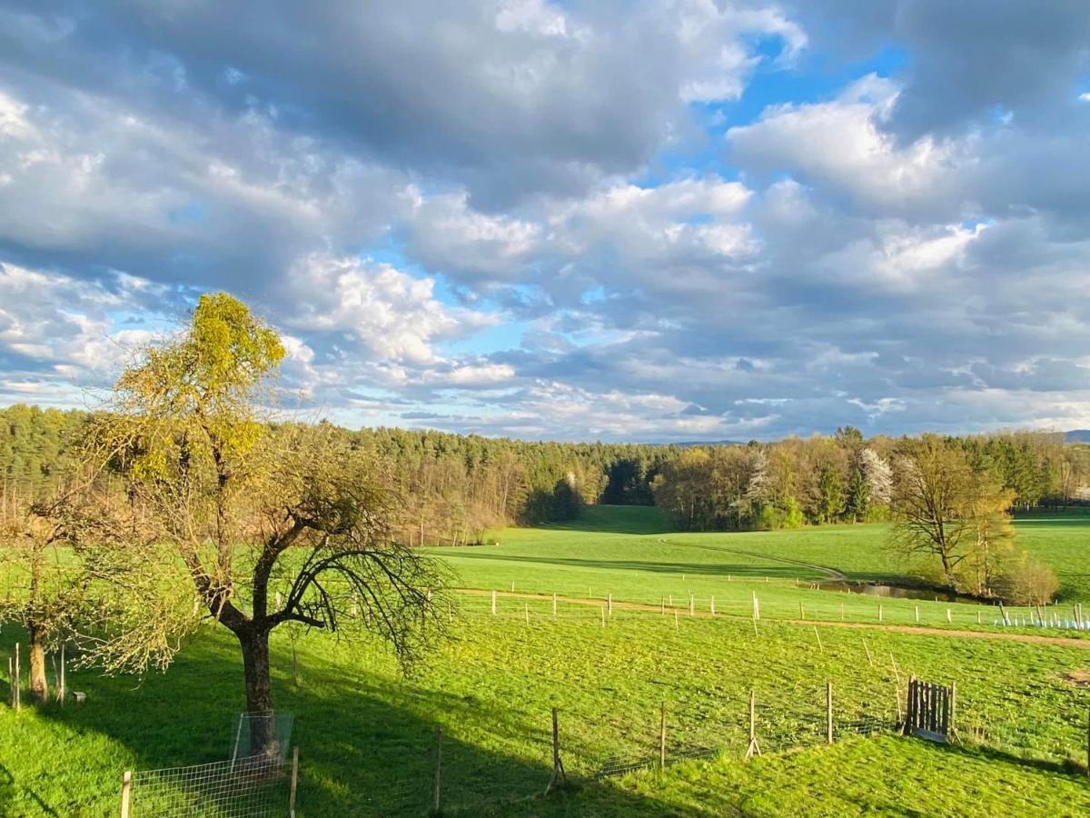 Lebenshof Varm - Die Vegane Farm Villa Sulb Exterior photo